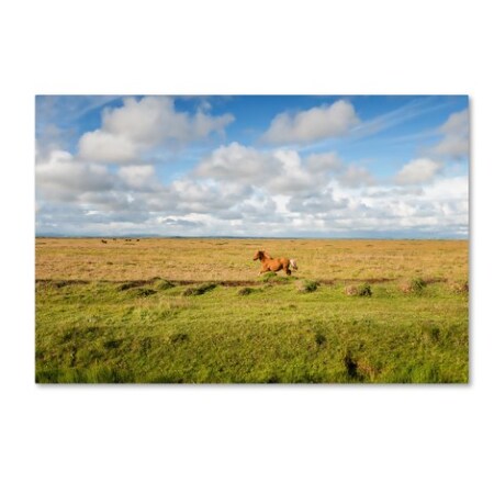 Trademark Fine Art Philippe Sainte-Laudy 'Free as a Horse' Canvas Art, 30x47 PSL0713-C3047GG